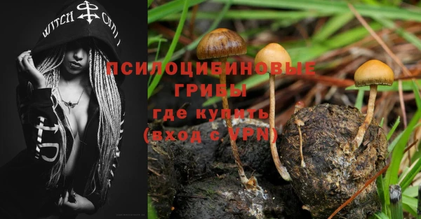 сатива Лагань