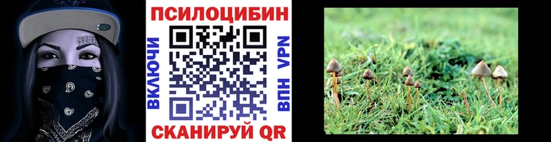 Псилоцибиновые грибы ЛСД  Купить где  Лукоянов 